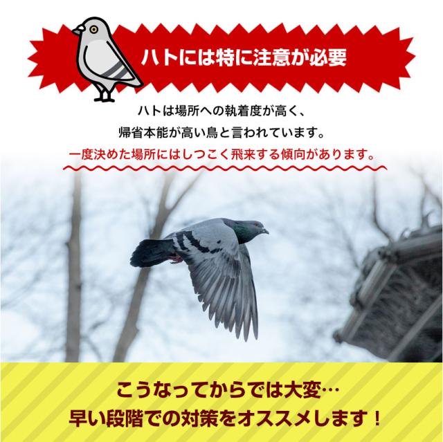 鳥よけ とげ マット セット ベランダ 鳥よけグッズ 