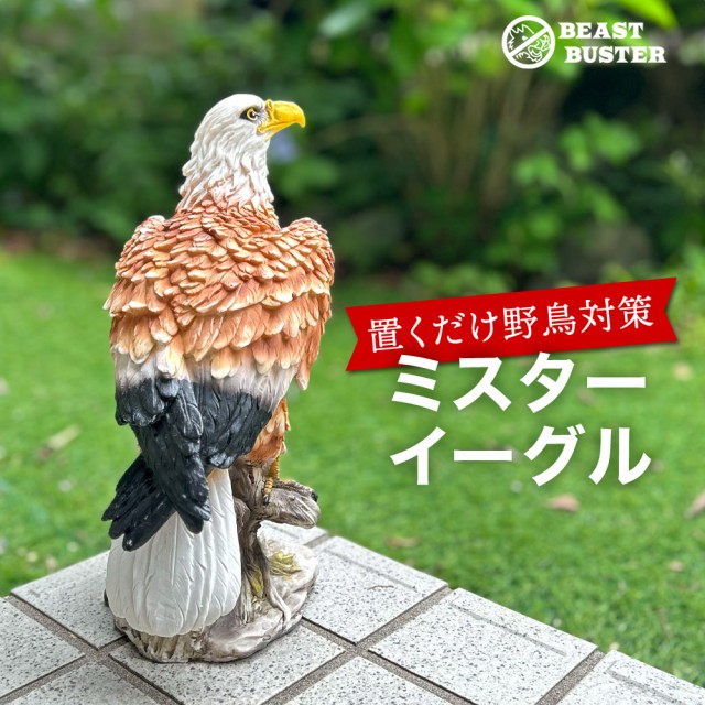 猛禽類最強 鷲 ワシ 鷹 置物 ミスターイーグル 防鳥 害鳥 庭の