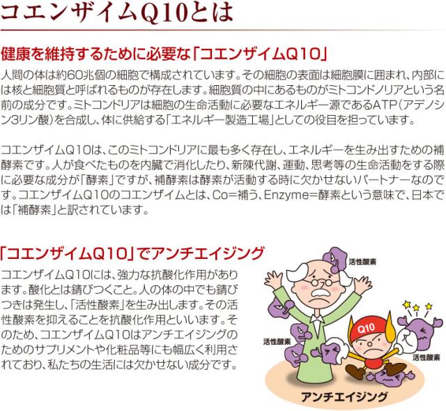 コエンザイムQ10とは2