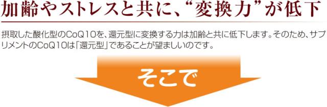 加齢やストレスと共に5
