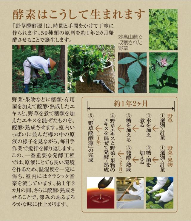 野草イメージ7