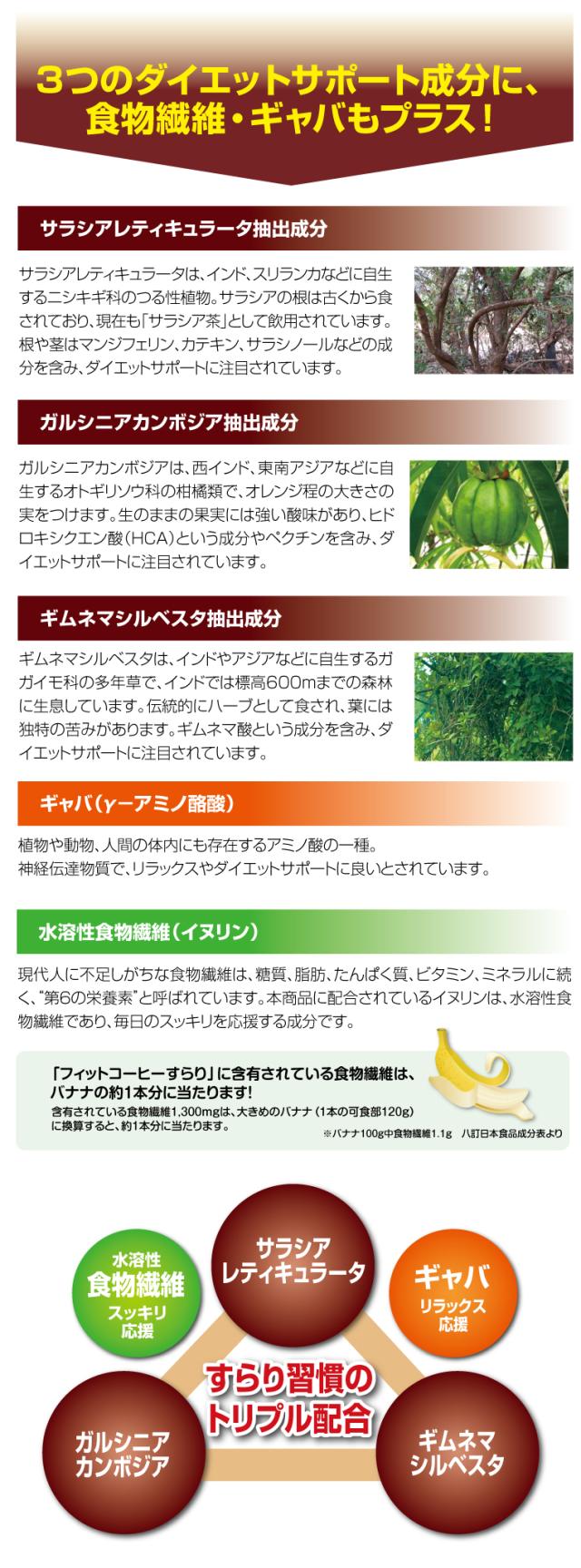 フィットコーヒー4