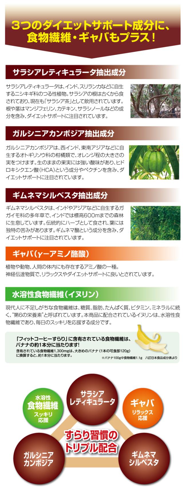 フィットコーヒー7