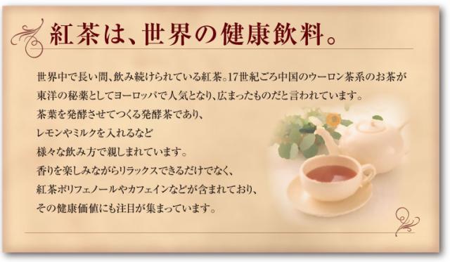フィット紅茶