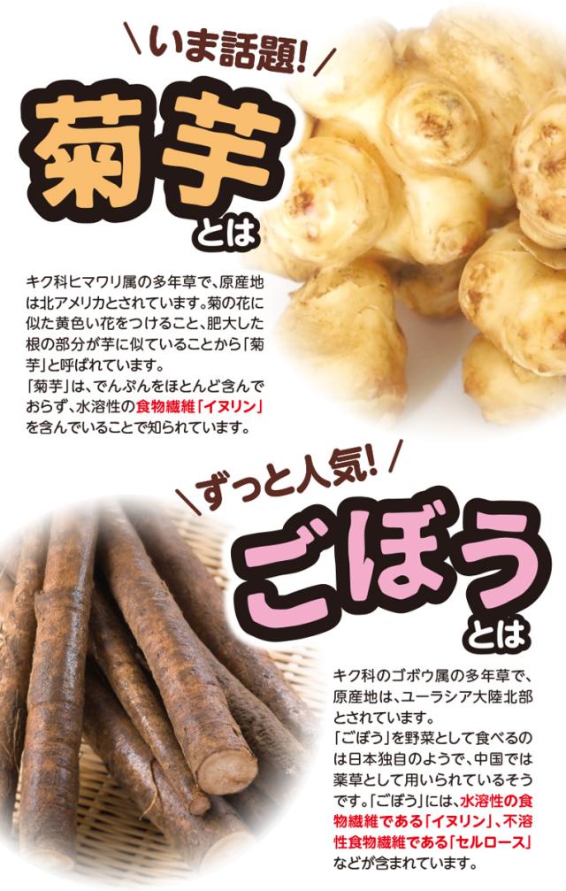 菊芋とは・ごぼうとは