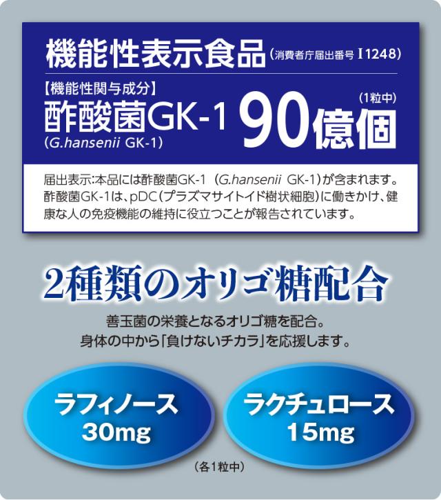 酢酸菌GK-1 90億個
