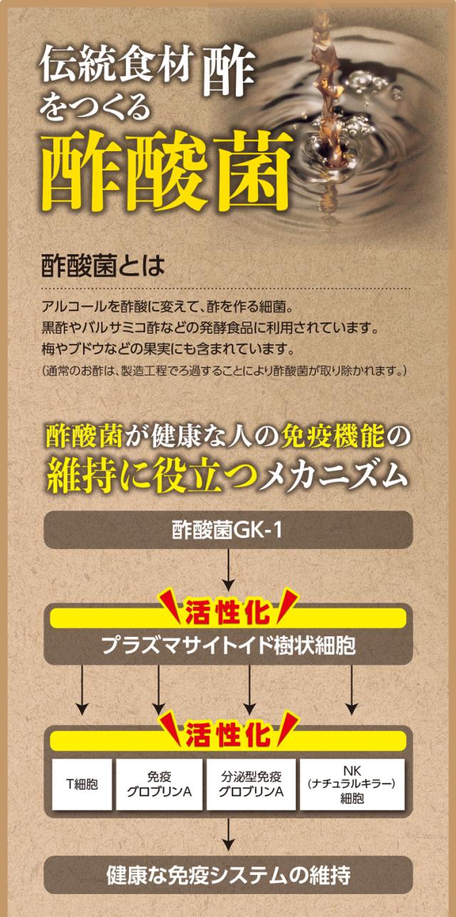 伝統食材酢をつくる酢酸菌1