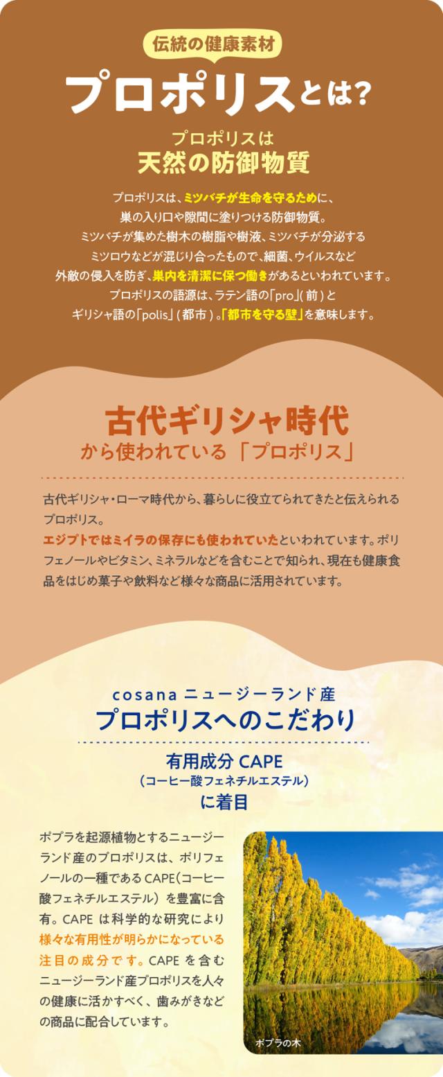 プロポリスとは