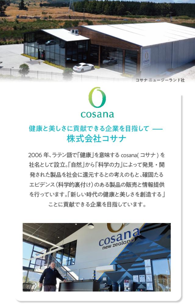 コサナ企業紹介