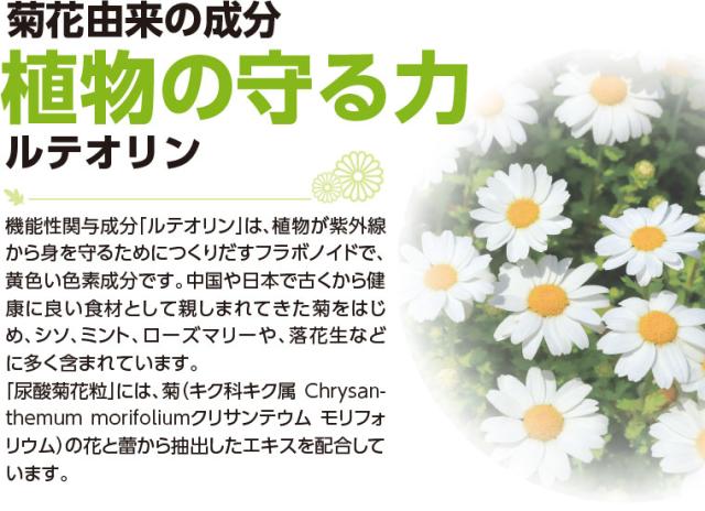 植物の守る力 ルテオリン