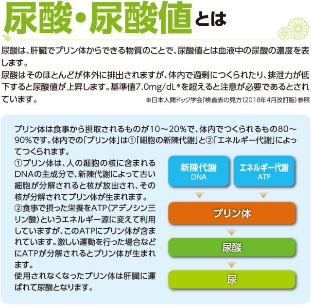 尿酸・尿酸値とは