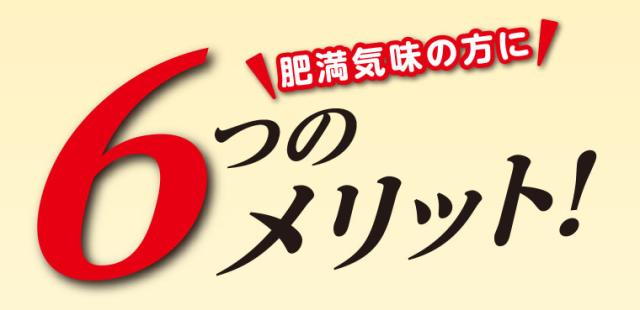 スリムバリアV6