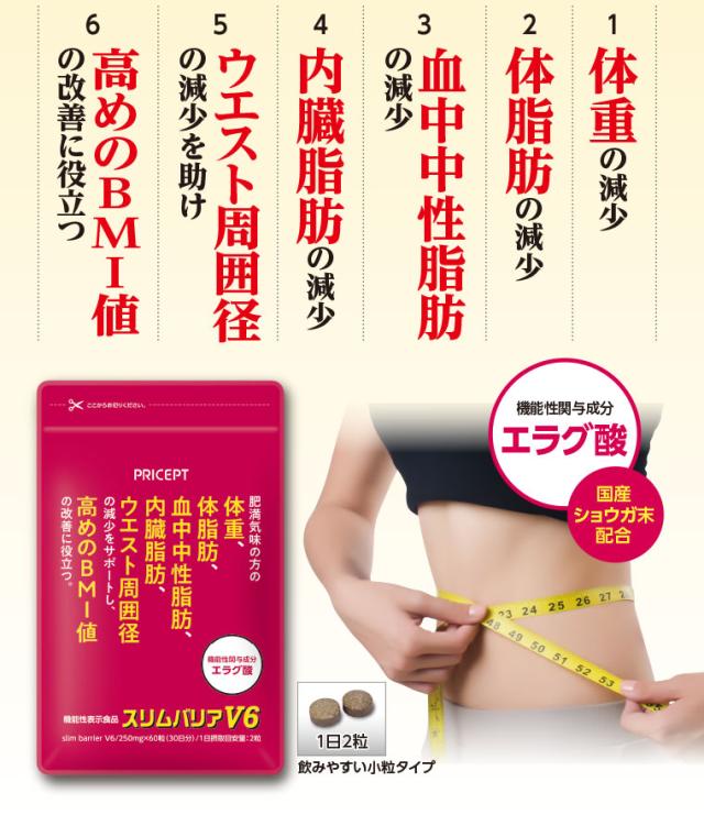 スリムバリアV6