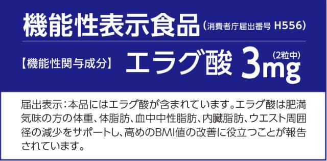 スリムバリアV6