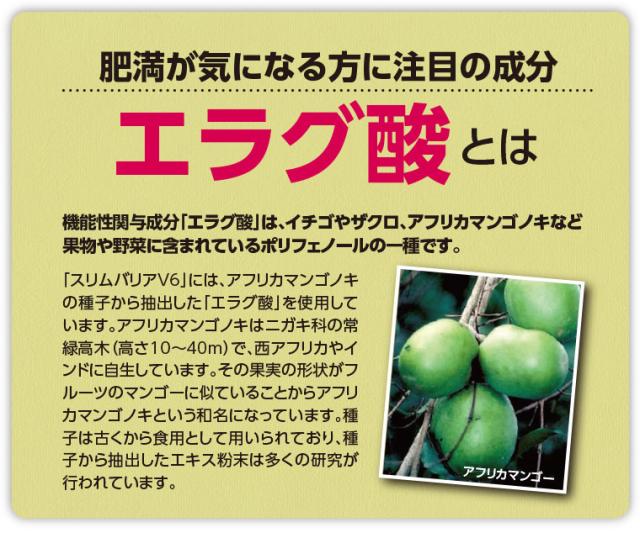 スリムバリアV6