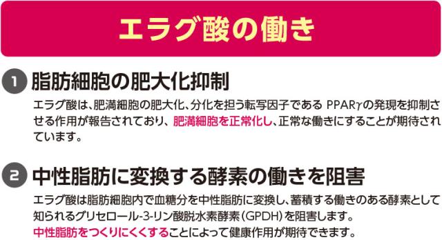 スリムバリアV6