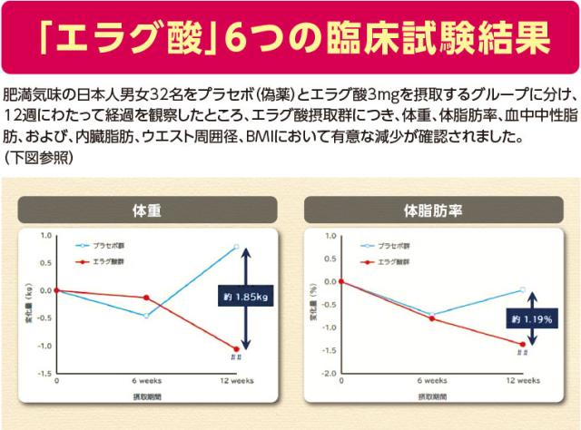 スリムバリアV6