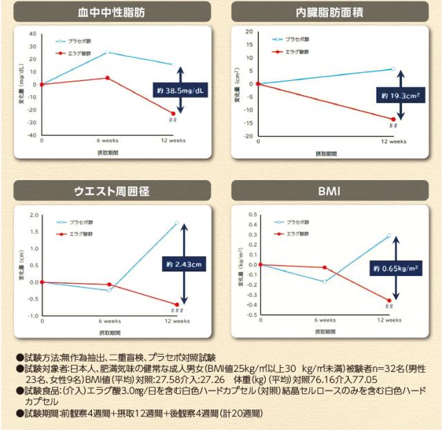 スリムバリアV6