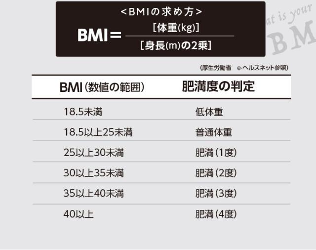 スリムバリアV6