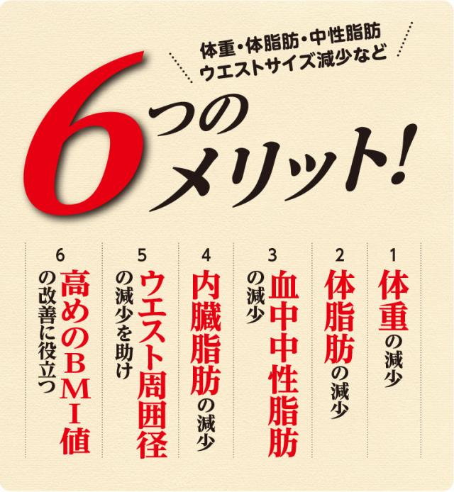 スリムバリアV6