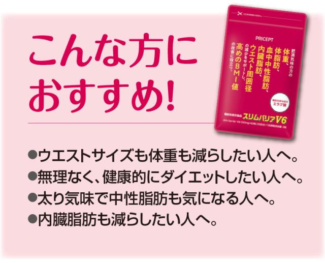 スリムバリアV6