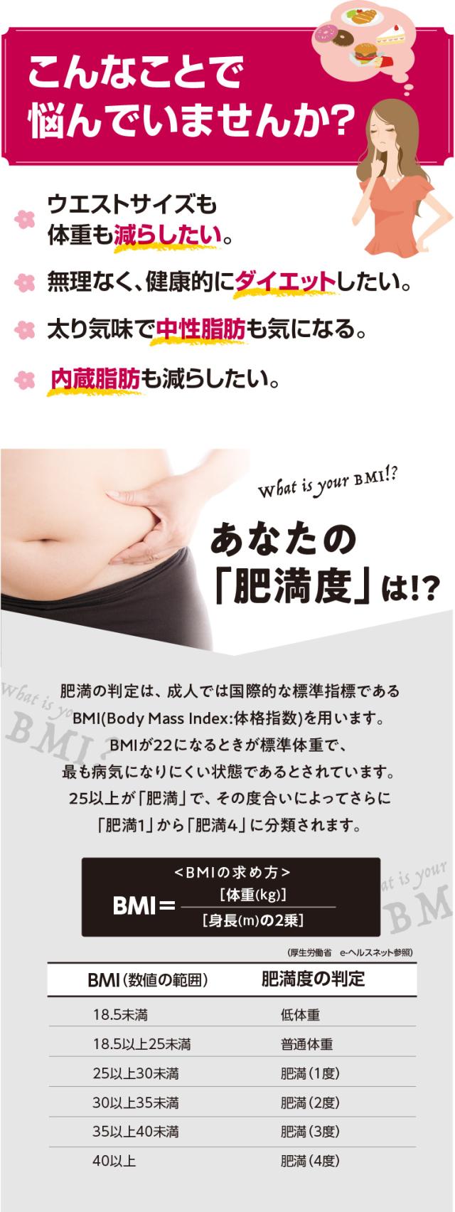 あなたの肥満度は