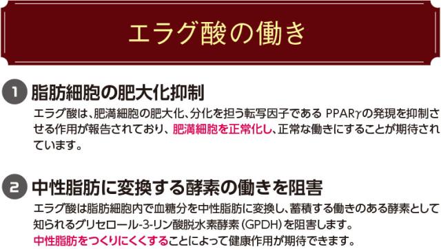エラグ酸の働き