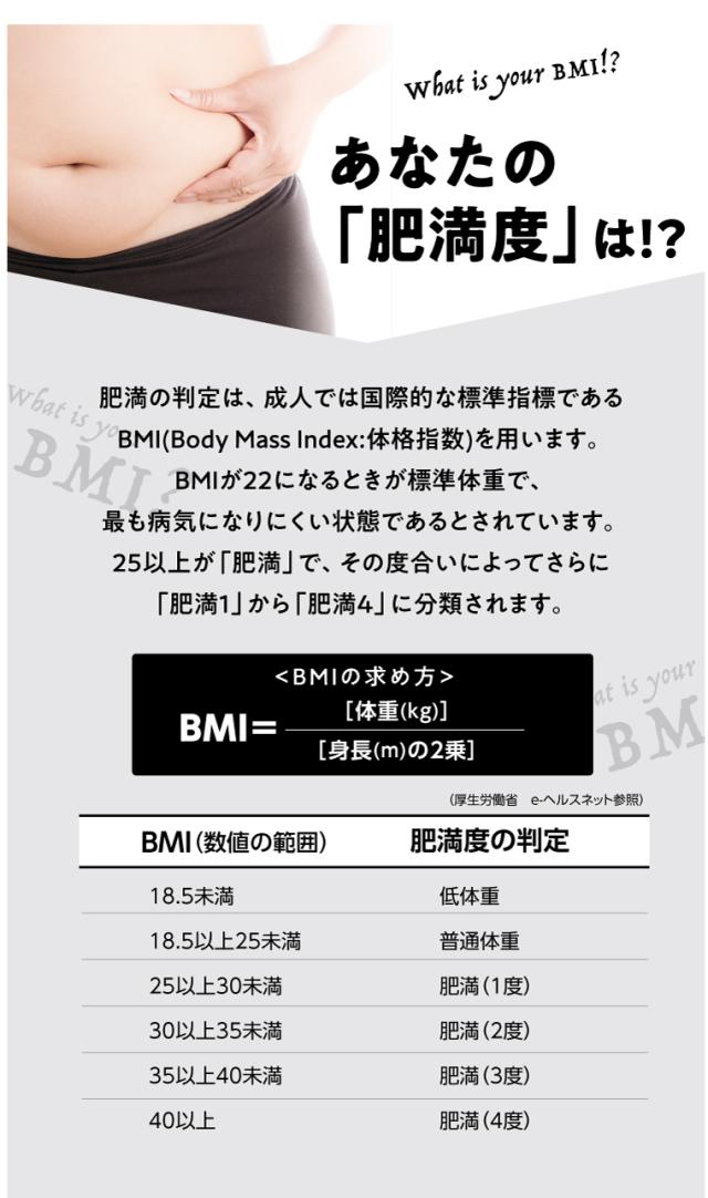 あなたの肥満度は?