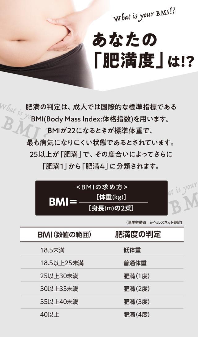 あなたの肥満度は?