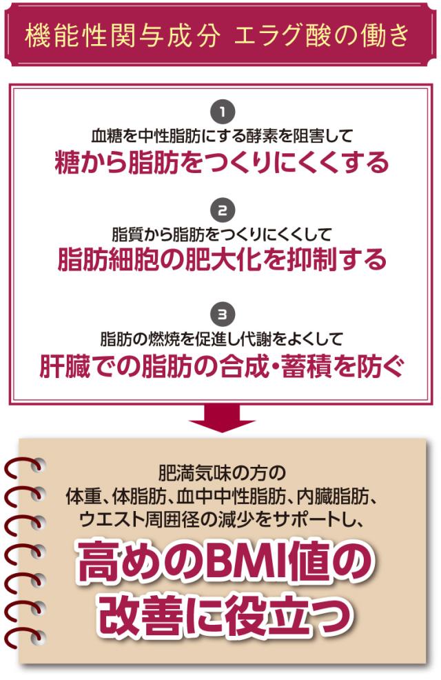 機能性関与成分 エラグ酸の働き