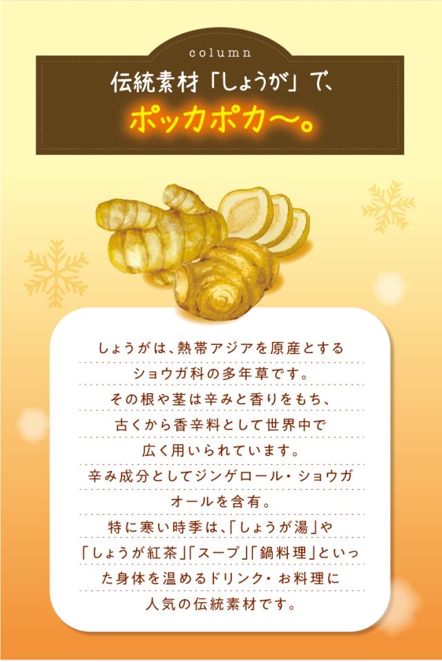 しょうがコラム