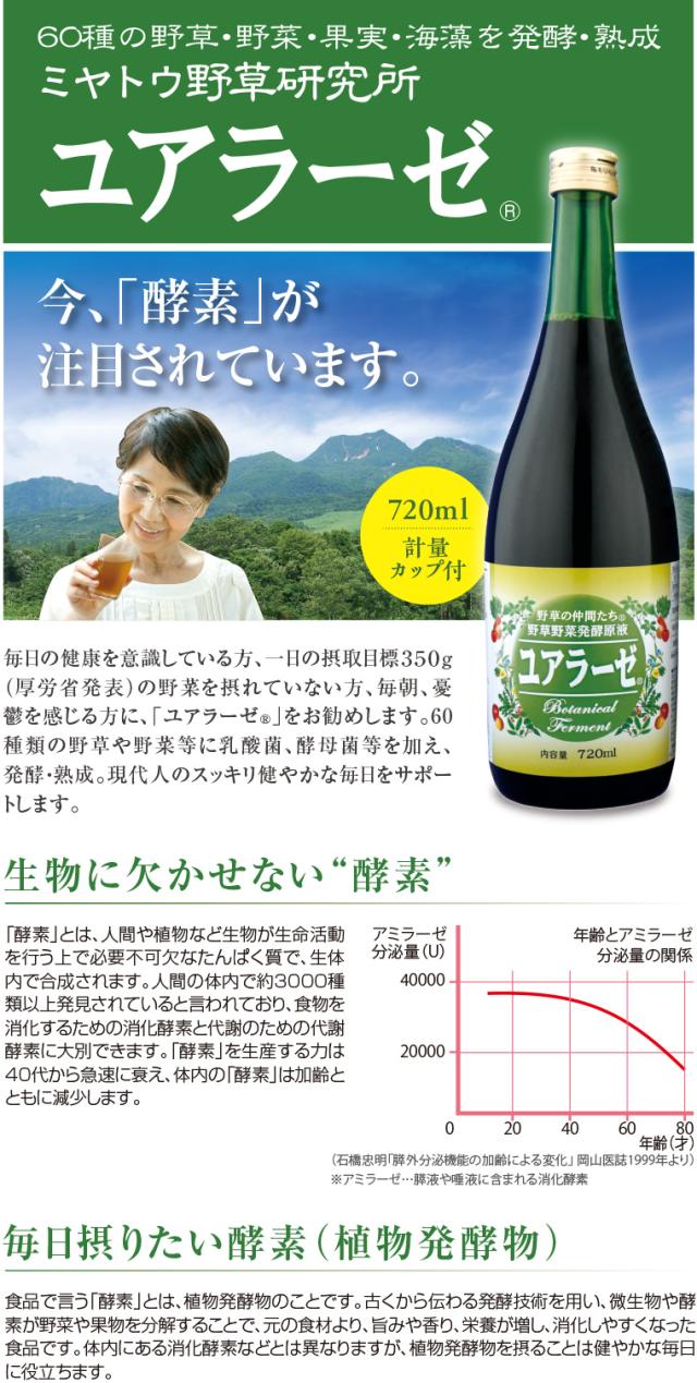 今、酵素が注目されています