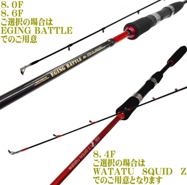 エギング 入門 フルセット ケイムラエギ10本 軽量で扱いやすい