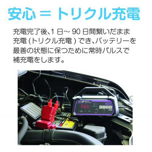 72時間限定タイムセール メルテックプラス 全自動パルスバッテリー充電器 バッテリー診断機能付 Meltec Mp 210 海外輸入 Carlavista Com