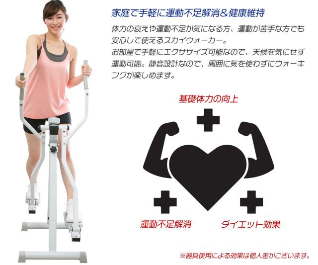 送料無料】スカイウォーカー/鉄人倶楽部(テツジンクラブ)/IMC