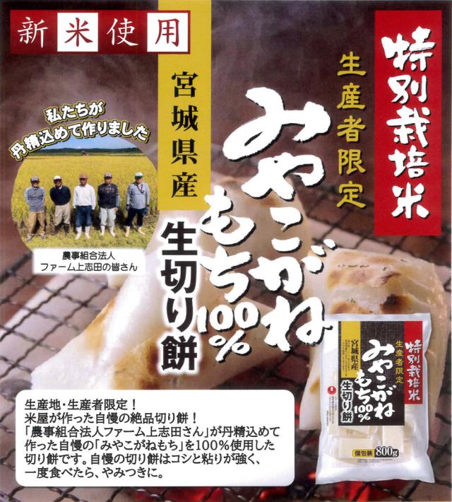 ダリア　杵つき餅セット 特売商品】餅つき道具セット3升用(石臼セット+ガス用蒸し器