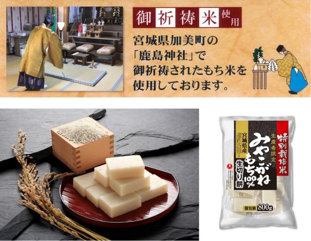 3個セット」 切り餅 宮城県産 みやこがねもち 800g ×3 個包装