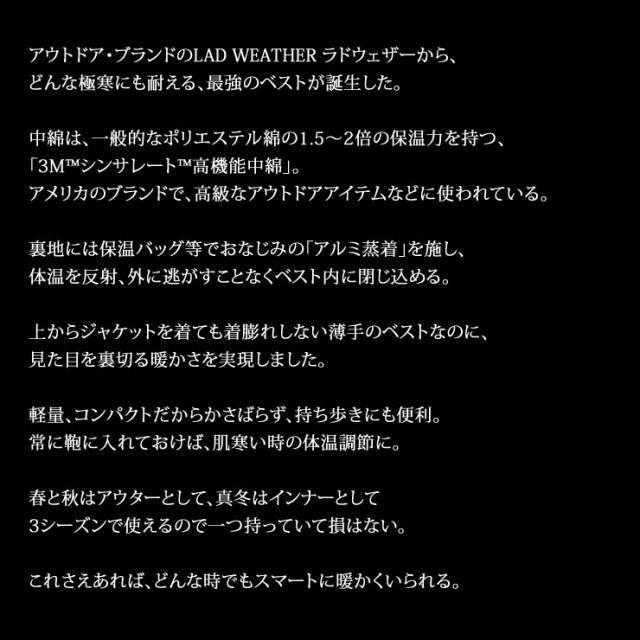 裏アルミ インナーダウンベスト