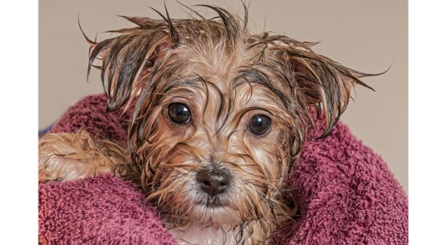 ラドウェザー トレッキングパンツ メンズ チノパン