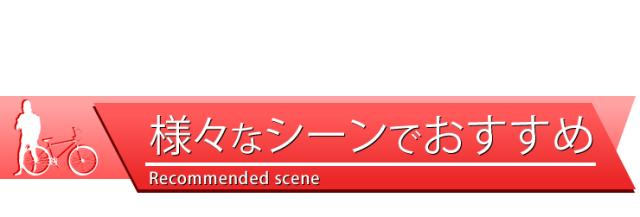 ラドウェザー トレッキングパンツ メンズ ダウンパンツ