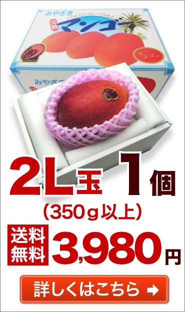 2L玉 1個 送料無料 詳しくはこちら