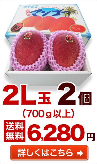 2L玉 2個 送料無料 詳しくはこちら
