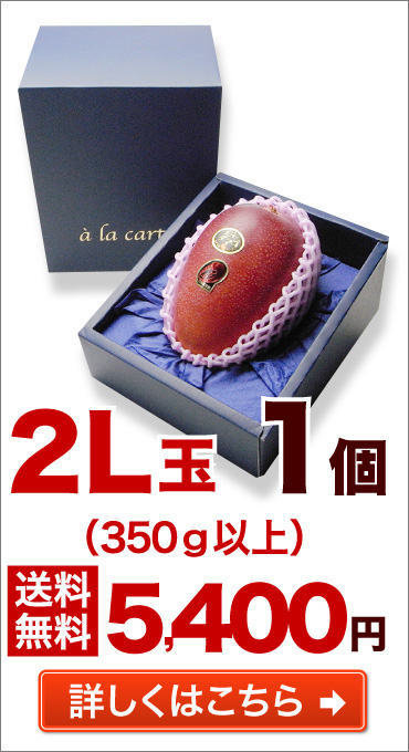 2L玉 1個 送料無料 詳しくはこちら