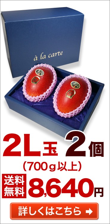 2L玉 2個 送料無料 詳しくはこちら