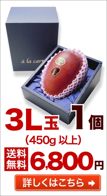 3L玉 1個 送料無料 詳しくはこちら