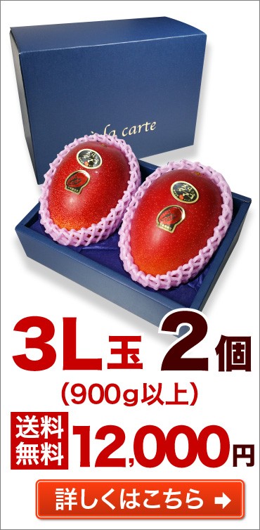 3L玉 2個 送料無料 詳しくはこちら