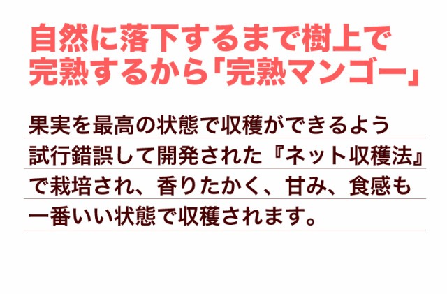 自然に落下するまで樹上で完熟