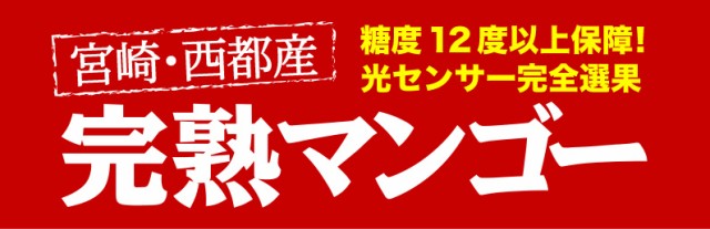 宮崎・西都産 完熟マンゴー