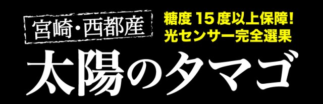 宮崎・西都産 太陽のタマゴ