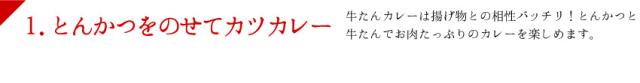 カツカレー説明